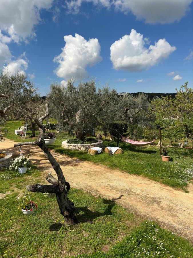 Trulli Barsento ξενώνας Αλμπερομπέλο Εξωτερικό φωτογραφία