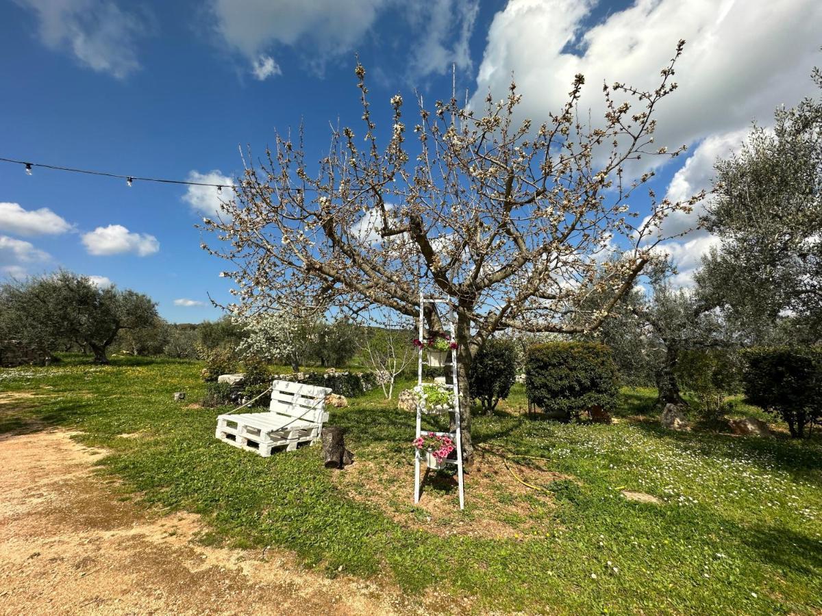 Trulli Barsento ξενώνας Αλμπερομπέλο Εξωτερικό φωτογραφία