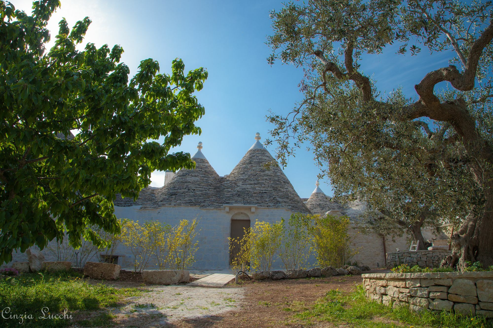 Trulli Barsento ξενώνας Αλμπερομπέλο Εξωτερικό φωτογραφία